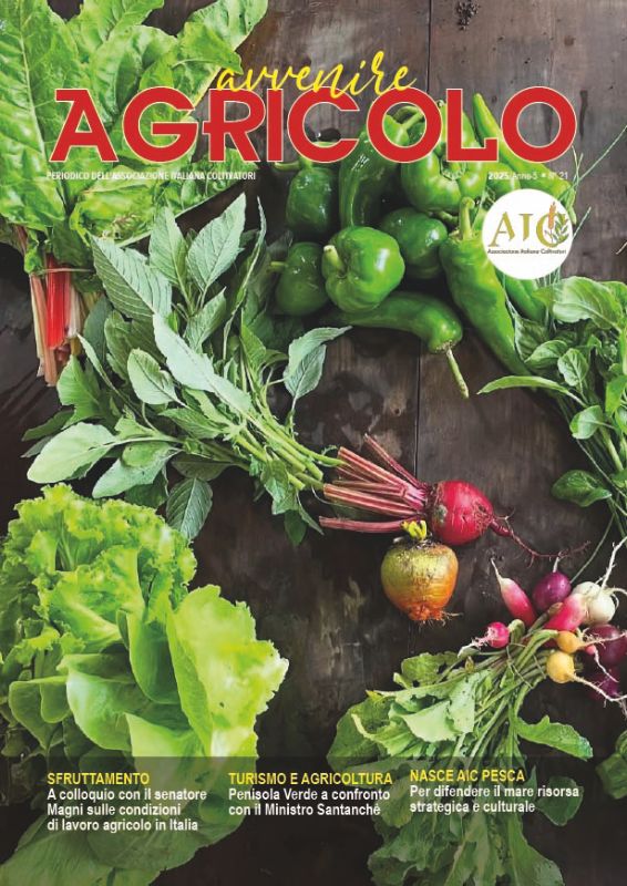 agricoltore campo arido cambiamenti climatici fatica